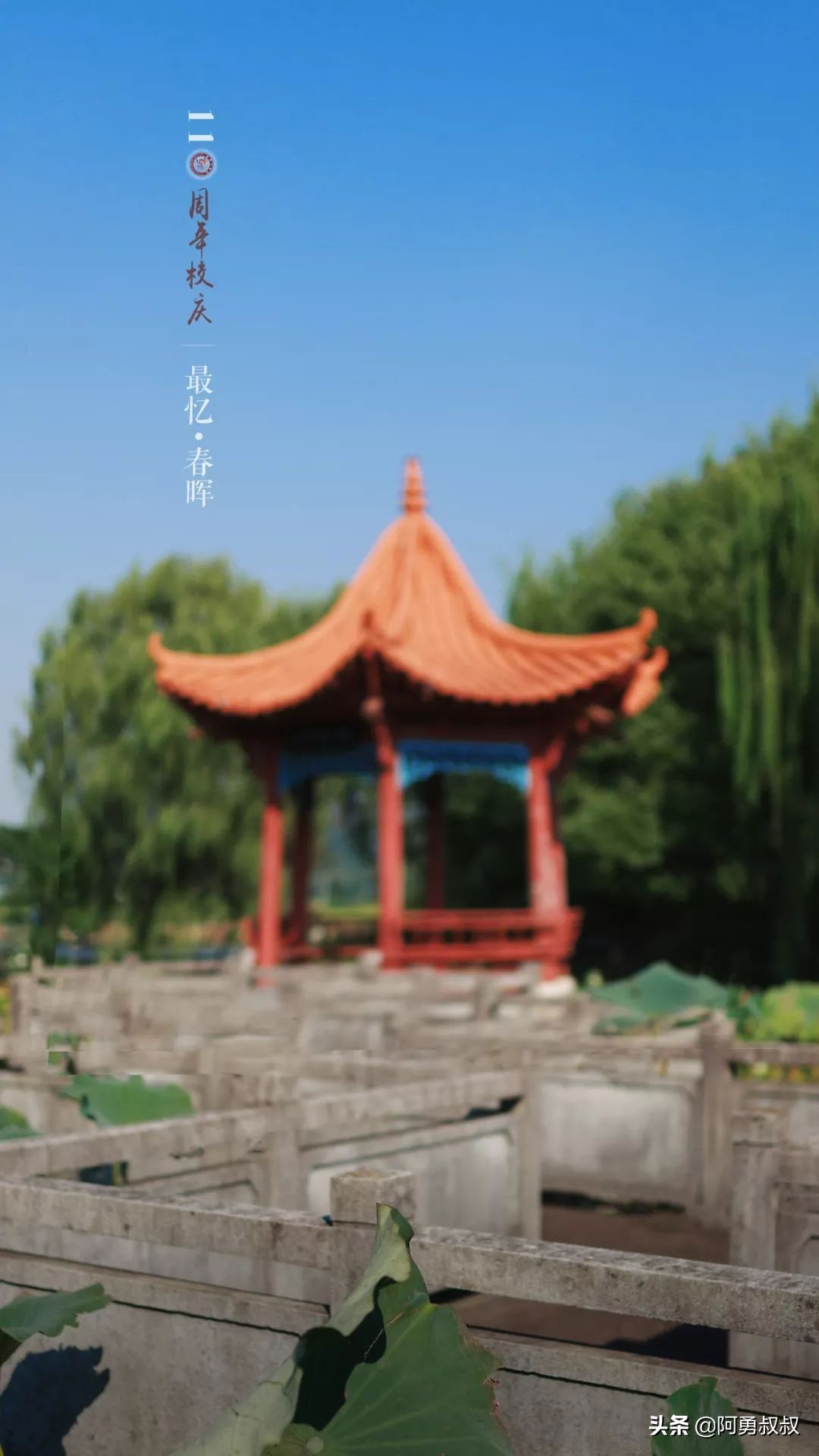 浙江春晖中学好还是柯桥中学好,上虞春晖中学全国排名第几名