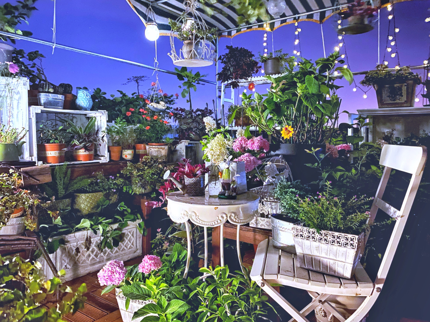 如何打造花园屋顶,超实用的屋顶花园