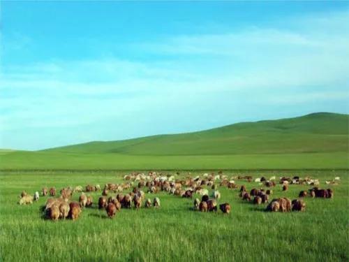 汉军对匈奴最惨的一战,铁血大战完整版