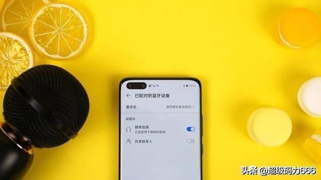 百万调音师黄磊李佳琦,李佳琦黄磊同台唱歌