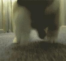 成都新社保卡更换流程,成都社保卡换新卡要什么手续