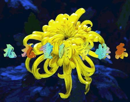 九九重阳节最美祝福送上,九月九重阳节祝福语简短