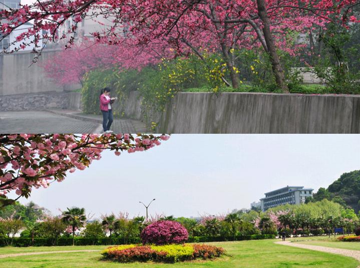 湖北师范大学,一所藏在童年记忆里的宝藏大学