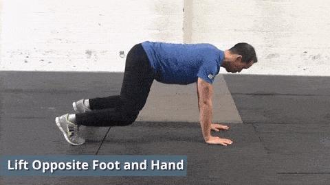 什么？爬行训练能治脊椎病？