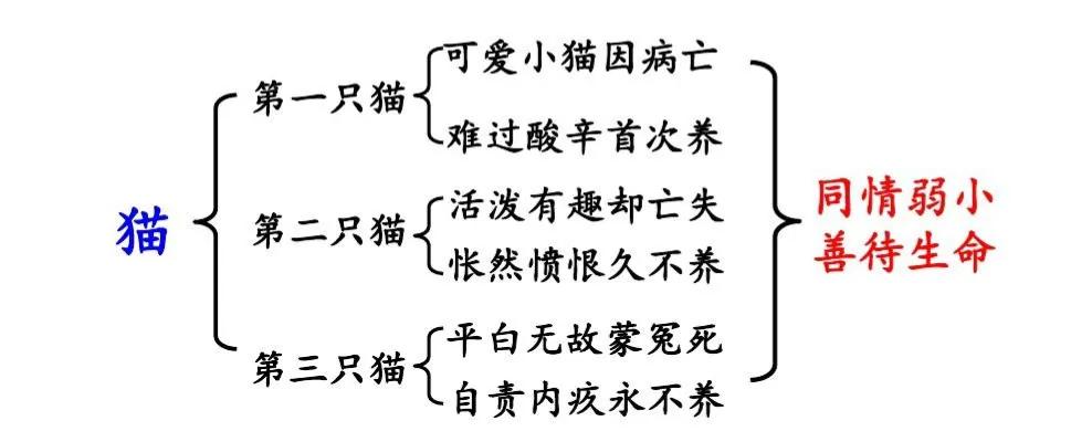 七上猫预习笔记,语文七年级上册人教版16课猫笔记
