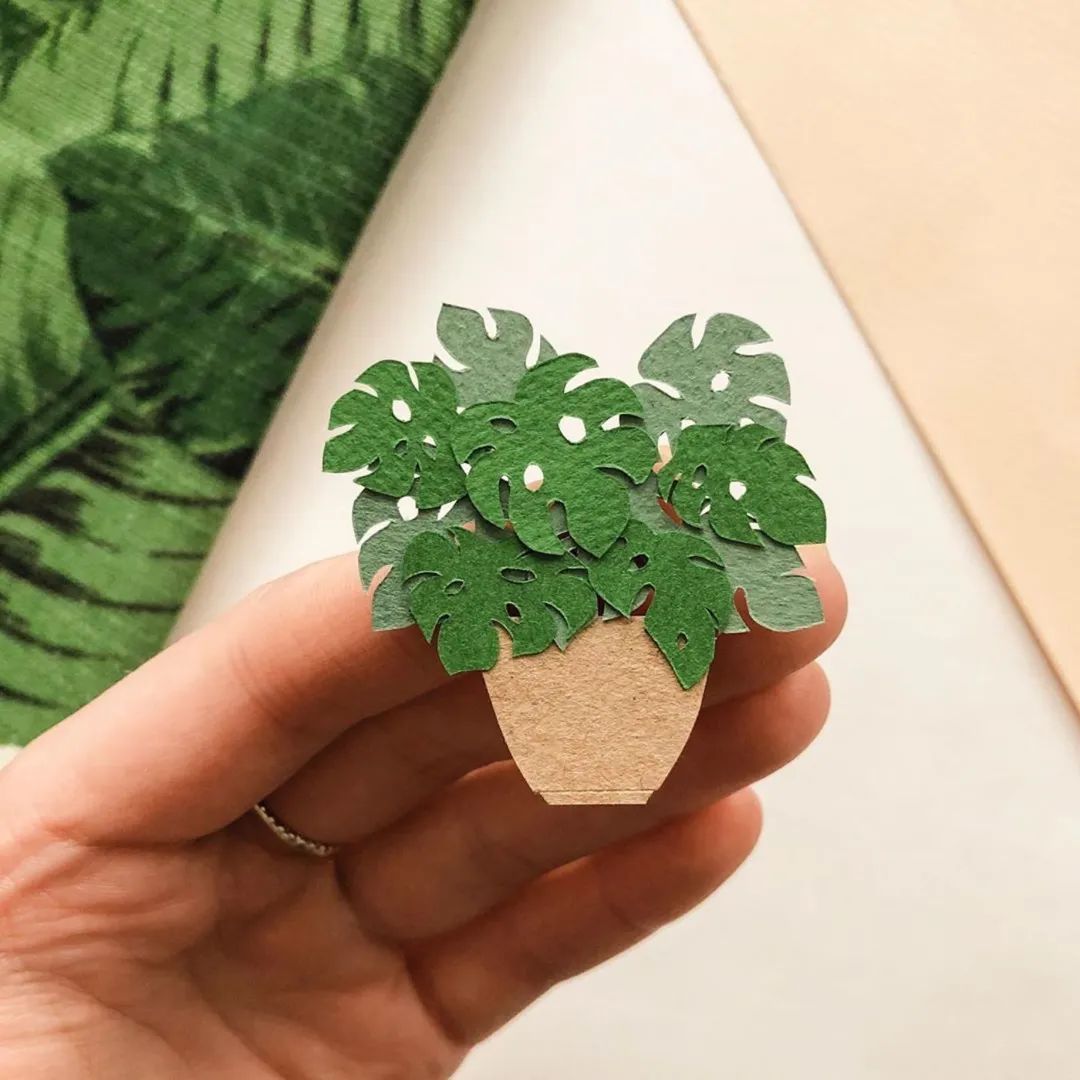 她创作的微型纸花，比鲜花还要贵上几百倍，网友​：好看但不值