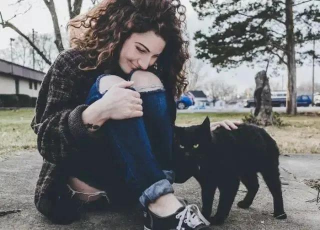 家里的猫咪屁屁出血了，是来大姨妈了吗？