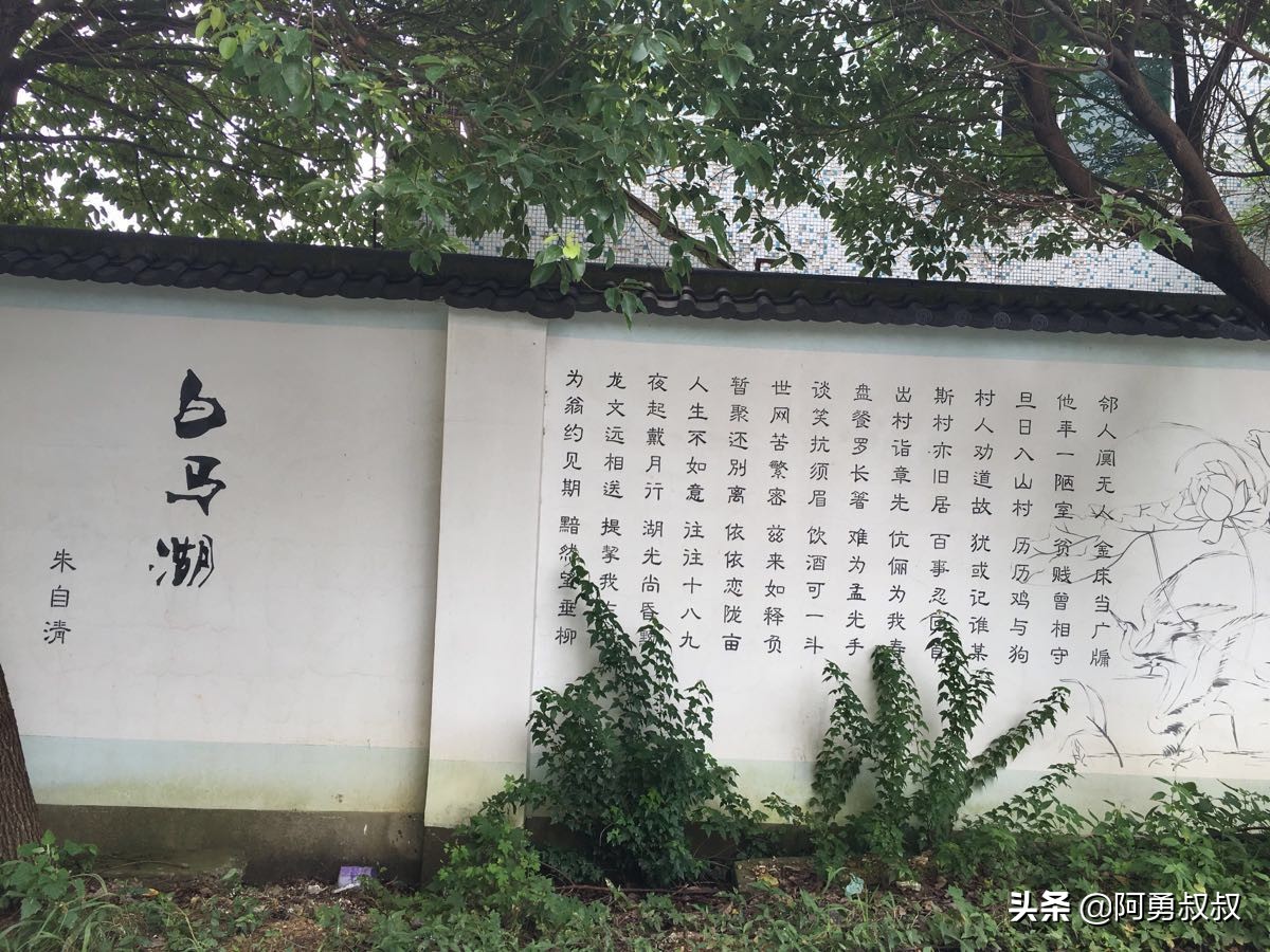 浙江春晖中学好还是柯桥中学好,上虞春晖中学全国排名第几名