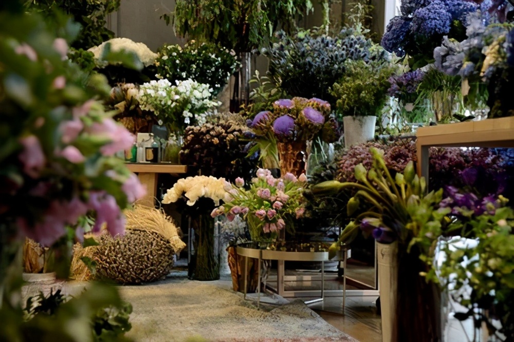 从零开始学养花入门,养花从小小的幼苗到大的说说