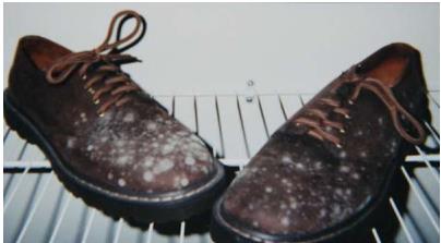 鐨瀷鍙楁疆闀挎瘺鍙戦湁鎬庝箞澶勭悊,鐨瀷鍙楁疆鍙戦湁鎬庝箞淇