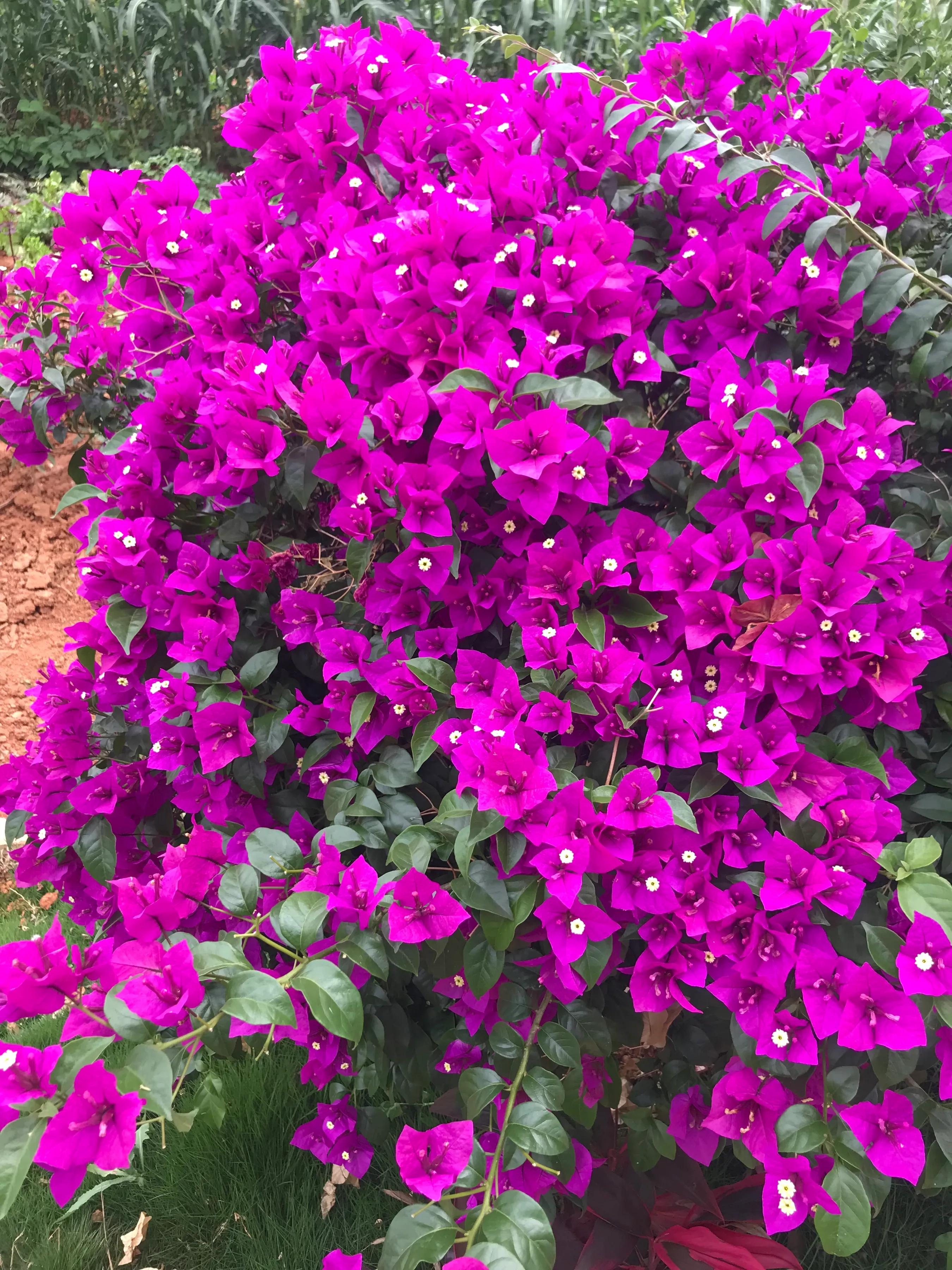 两性心理解析,男女情感小品