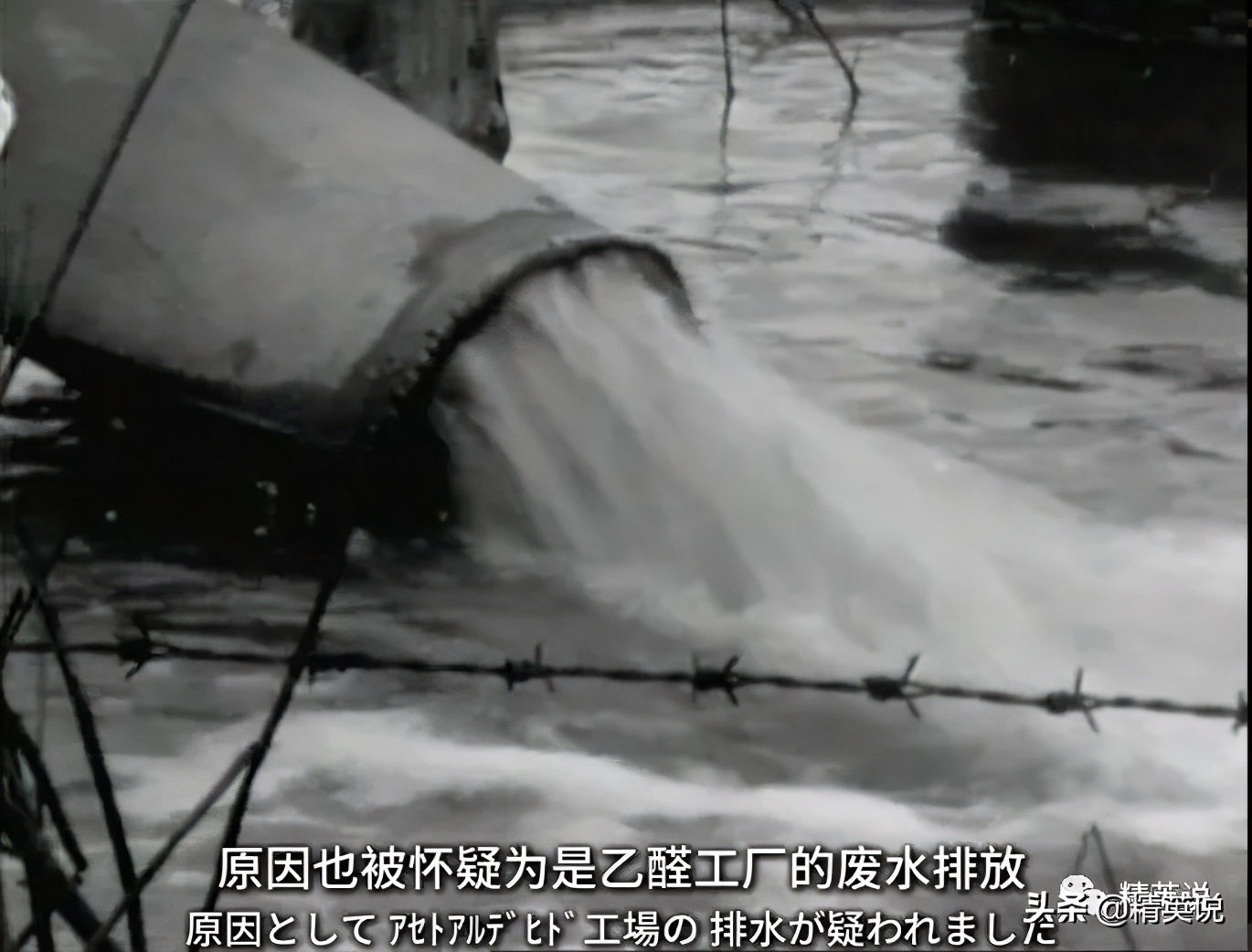 60多年前日本万人中毒成世界公害！如今福岛百万吨核废水入海…