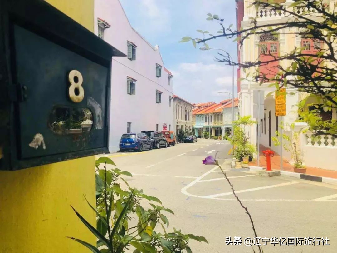 看世界┃春天之籁到新马找回久违的爱