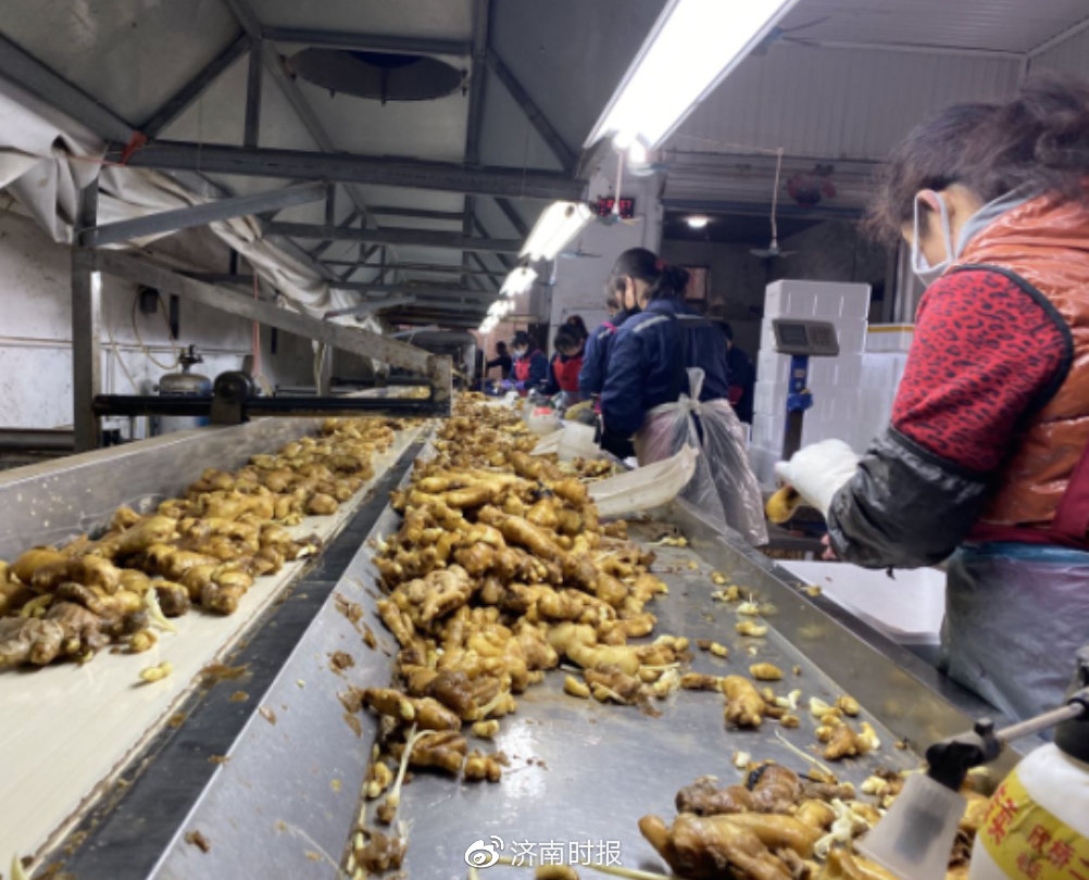 拼多多经典的农产品营销模式案例,拼多多山东大姜