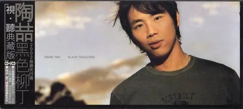 陶喆黑色柳丁专辑封面图,陶喆黑色柳丁专辑评价