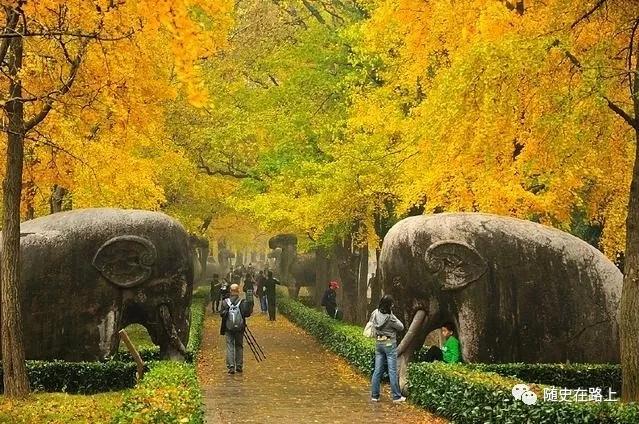 我有一个心愿叫金陵