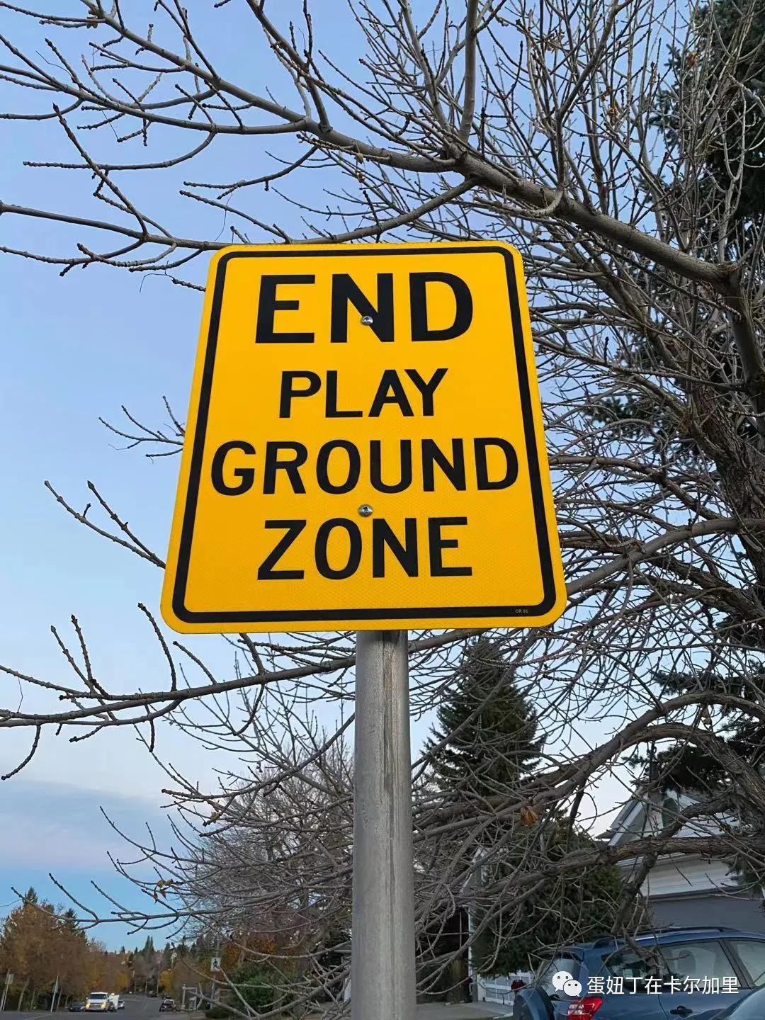 老司机谈开车,老司机聊车大全