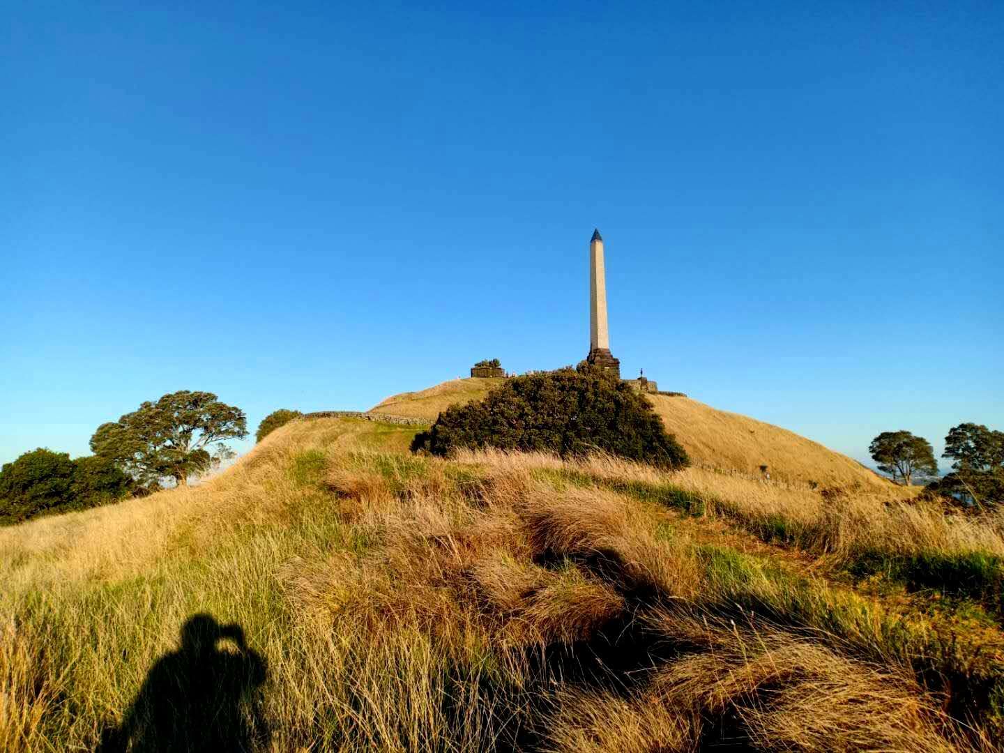 一树山,我的精神家园