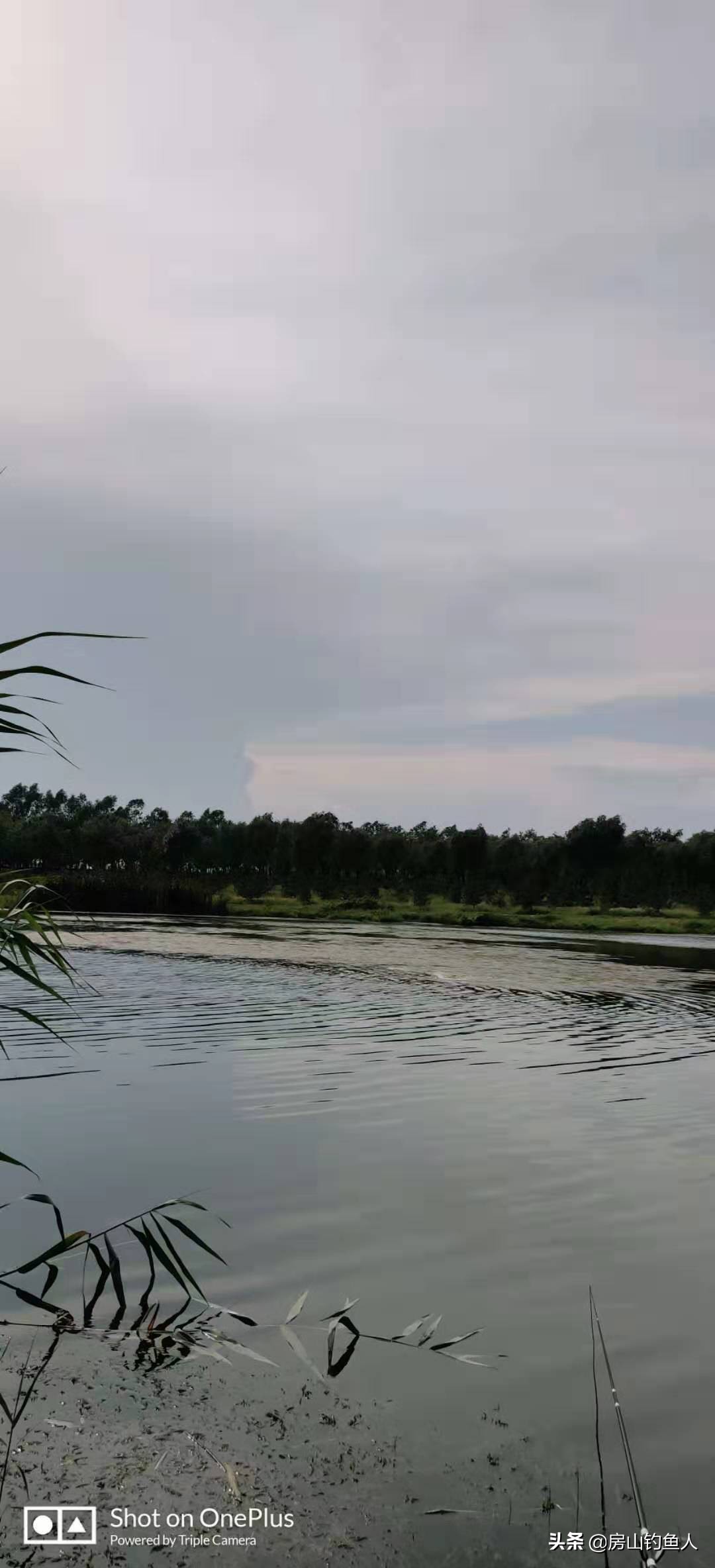 闲暇之余钓鱼取乐,闲暇的时间来钓鱼收获满满