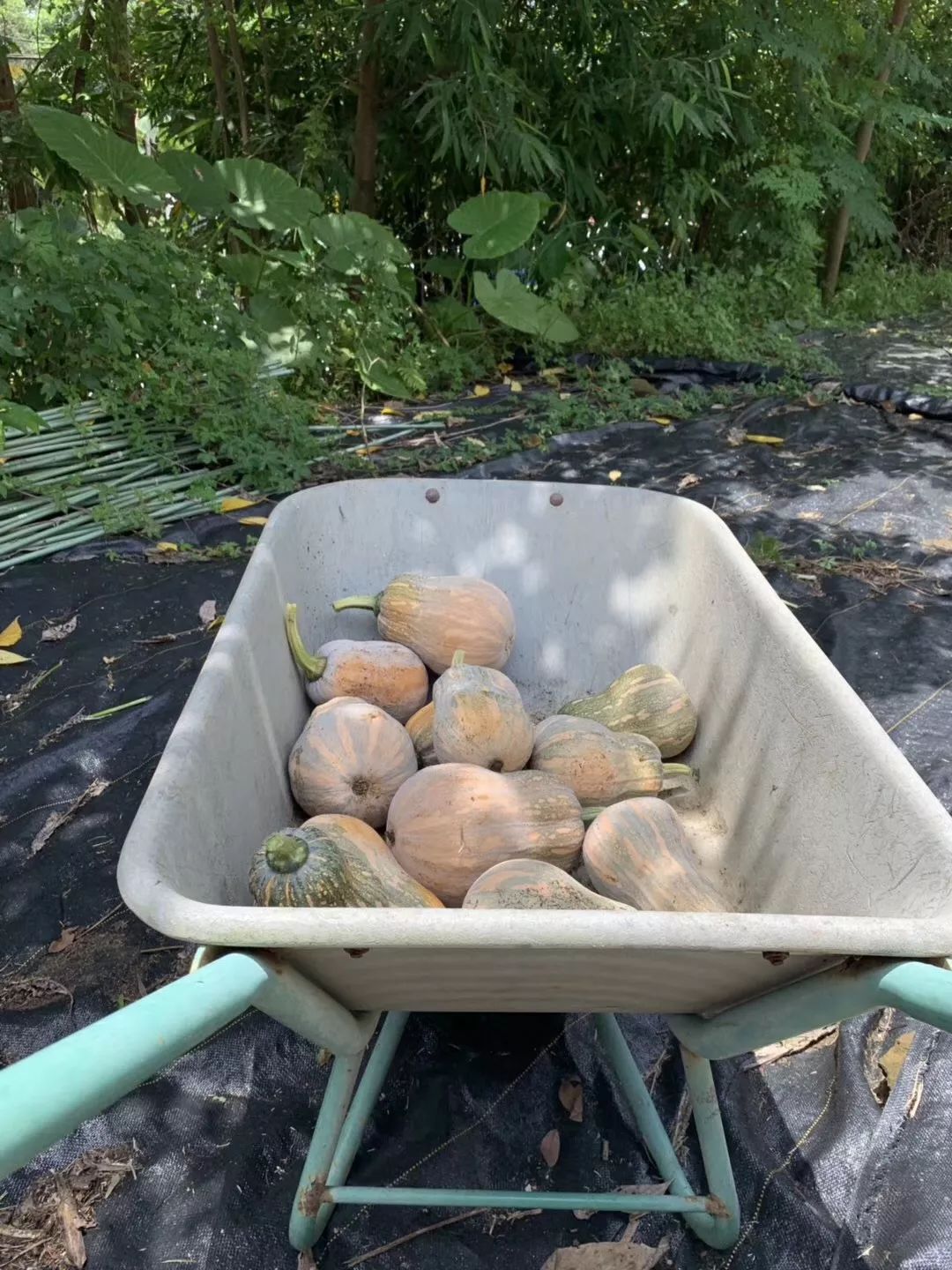 吃完就变富有的一顿饭：来自台湾非典型性富二代农夫Fudy