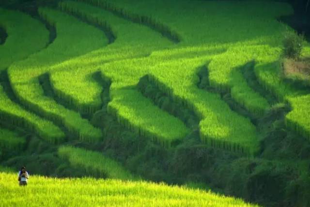 广东旅游攻略自驾游最佳路线,广东旅游攻略自驾游带孩子三天