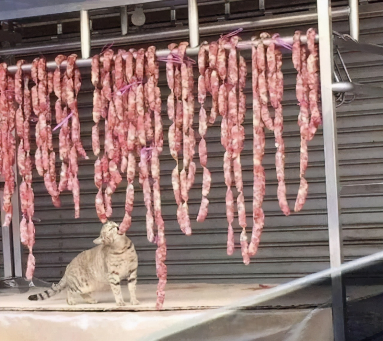 图集|这些厕所，我是不会上的