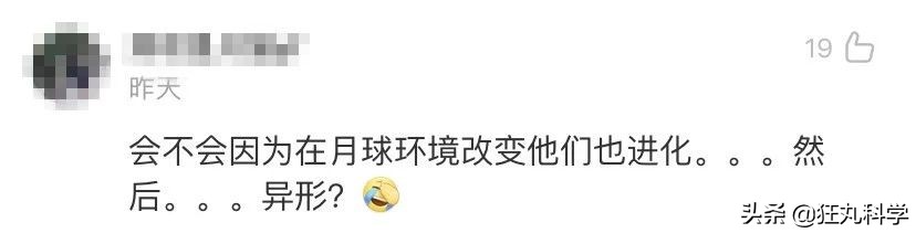 地球最强生物水熊坠落月球或幸存,地球最强的生物降临月球