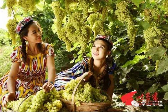 新疆揪片汤饭,新疆正宗的揪片子汤饭