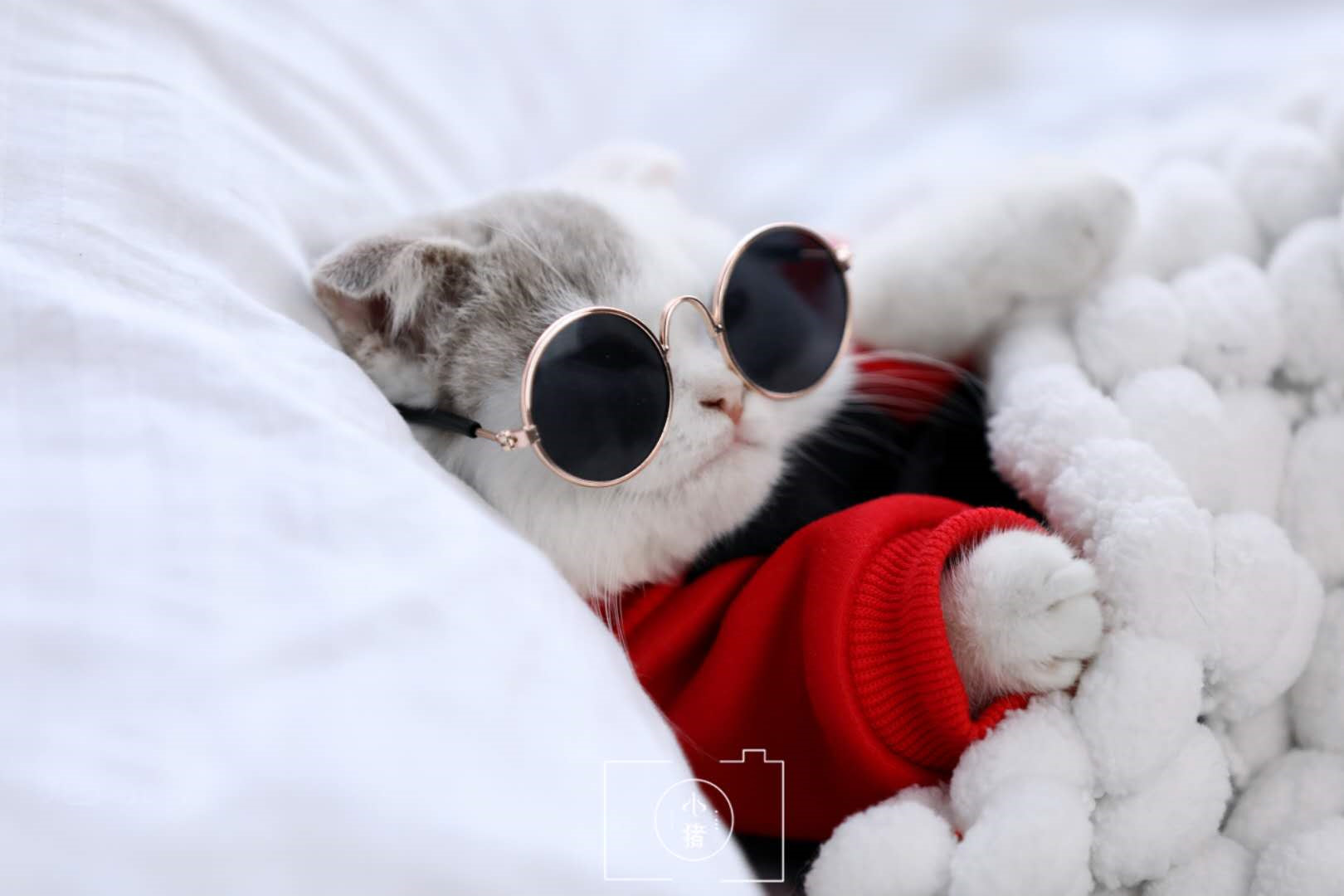 广州人打卡,广州人打卡的新地方