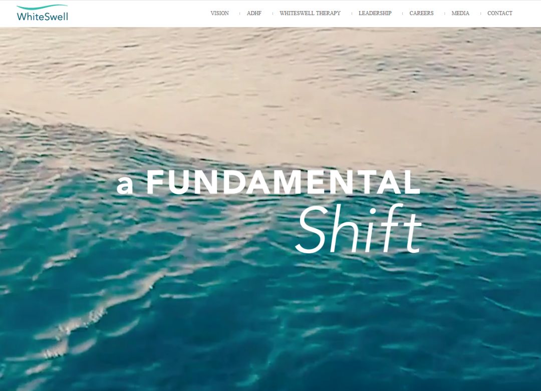 极品两声ok.vip和zb.vip超百万成交！英文米Zoom.com被终端收购！