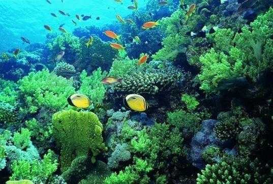 有哪些非常冷门的冷知识,那些非常冷门但实用的冷知识