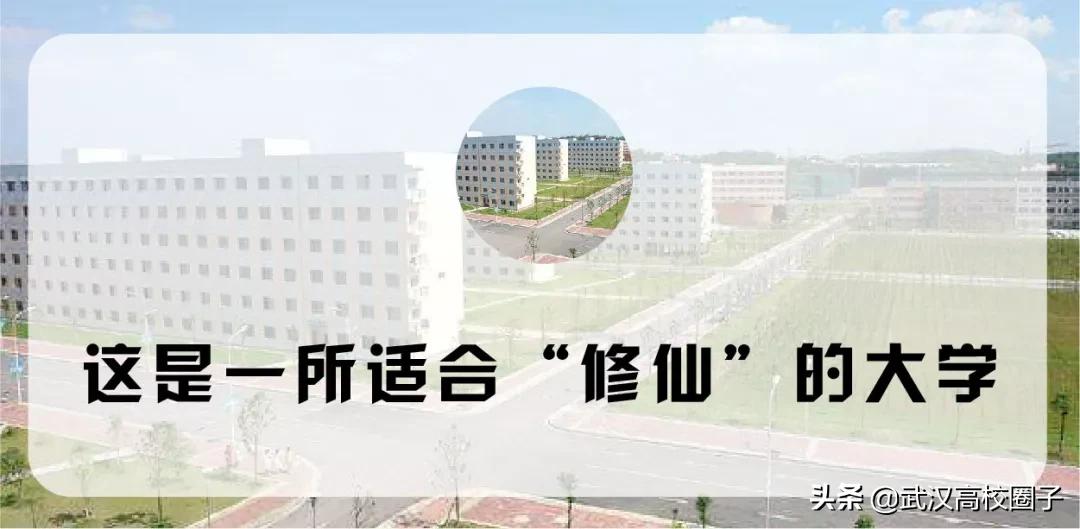 湖北中医药大学，是湖北省唯一一所高等中医药本科院校