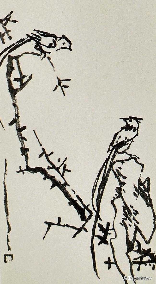 国画飞着绶带鸟的画法步骤,国画绶带鸟的画法