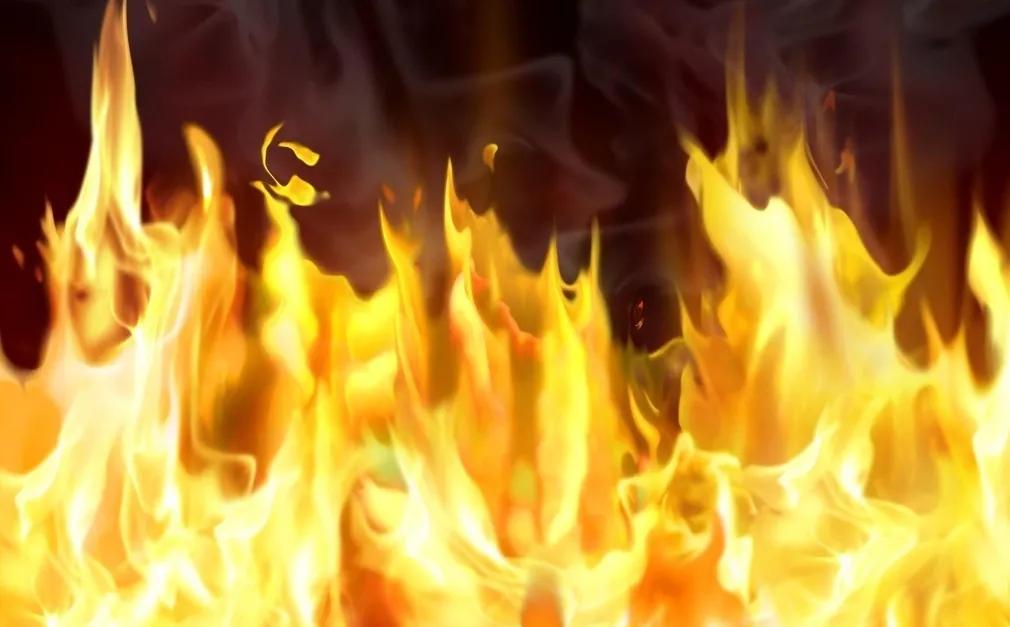 2022中考作文重庆,2020广州深圳中考作文