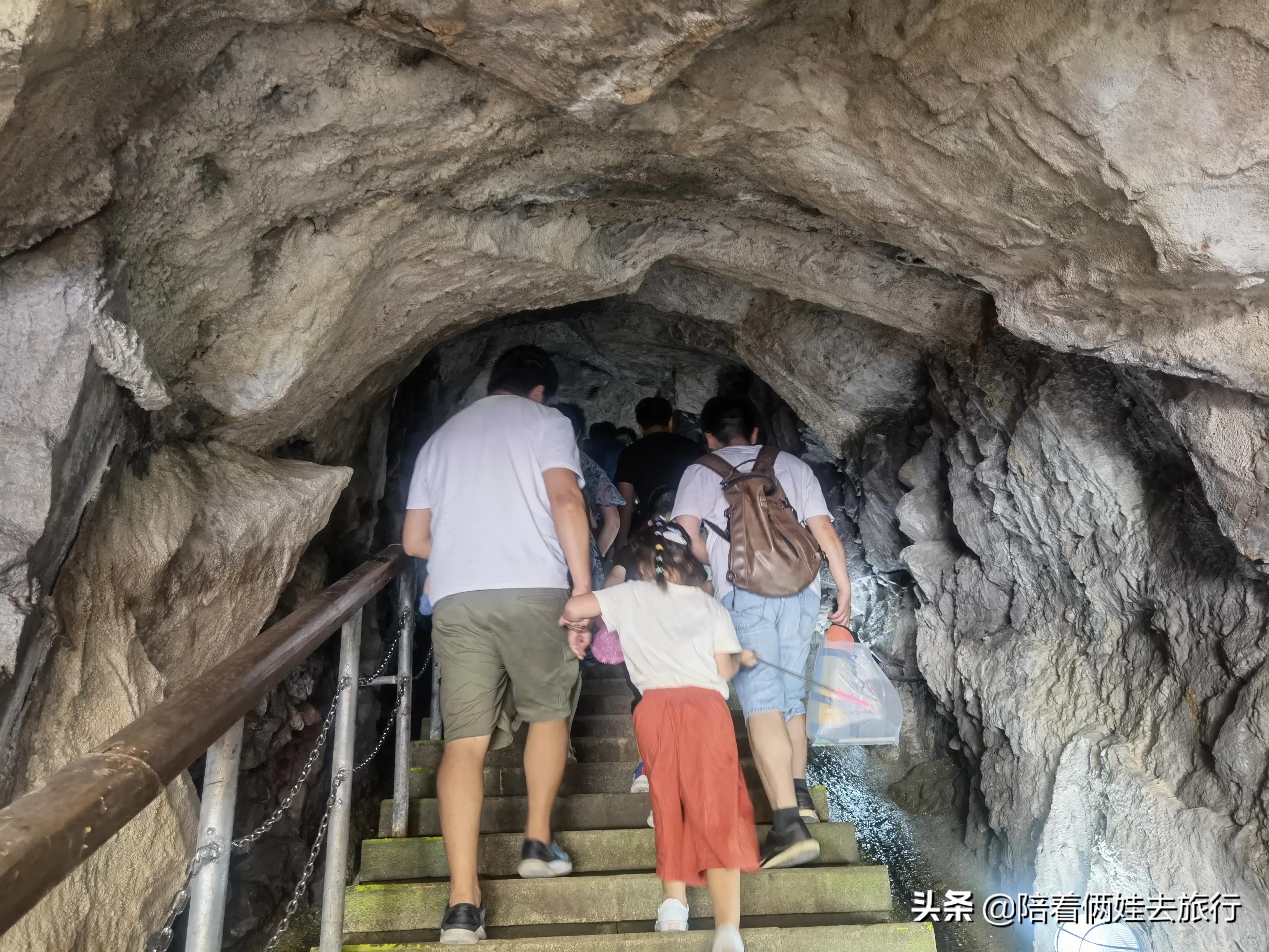 上海辰山植物园矿坑花园,辰山植物园矿坑花园修好了吗