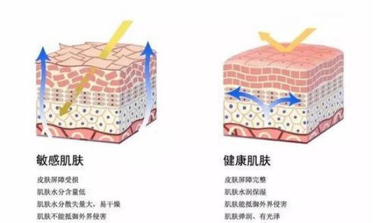 敏感肌洗面奶测评红黑榜,长痘适合用的洗面奶真实测评