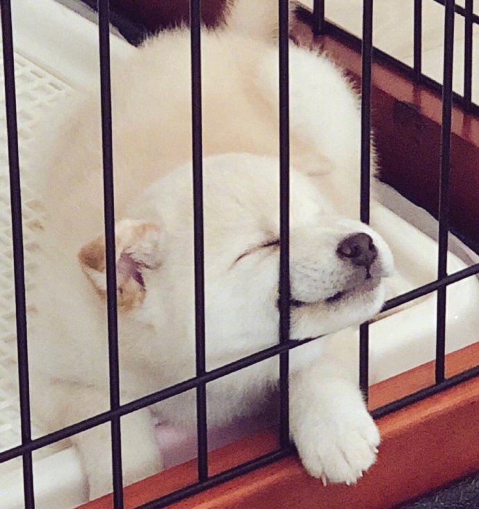 鼻子被压变形会恢复吗,鼻子被挤肿硬硬的