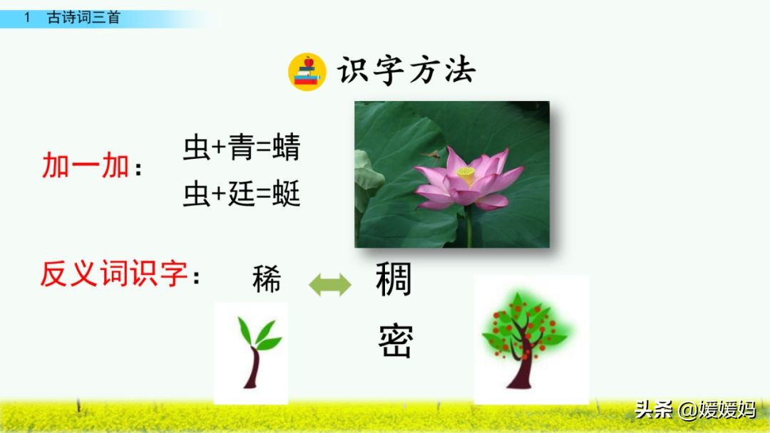 四年级下册第1课古诗三首练习,四年级下册古诗词三首的写作背景