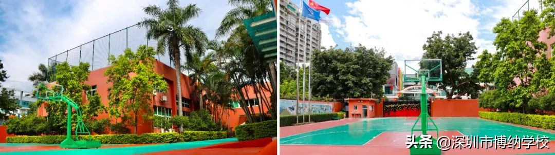 深圳南山这所宝藏国际学校，带你去打卡