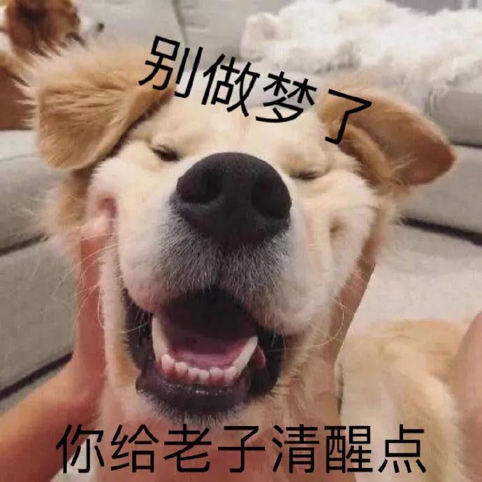 如何辨别代购店铺真假,怎么判断代购的lv邮差包真假