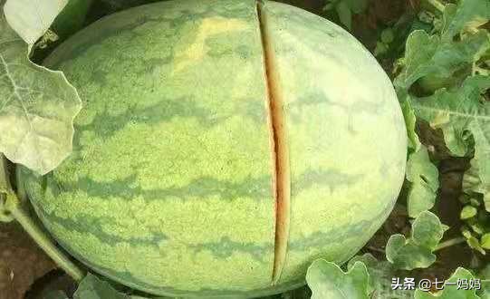 剖腹产后的我疼到难起身,竞走女王刘虹也如此,剖腹产到底有多难