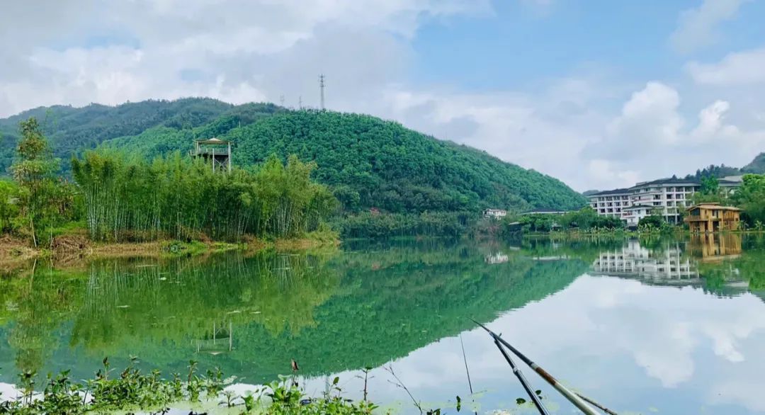 野奢不被鄙视？问问那些爱钓鱼的老孩子们，他们有活蹦乱跳的经验