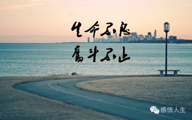 人生百态百味人生,阅百味人生分享人生百态