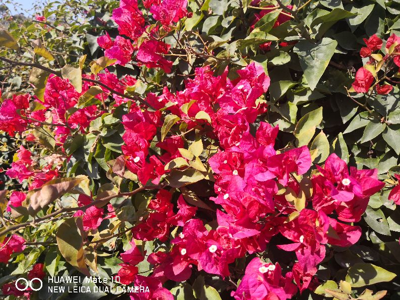 从天津到厦门玩5天的攻略,广州到厦门旅行多少钱