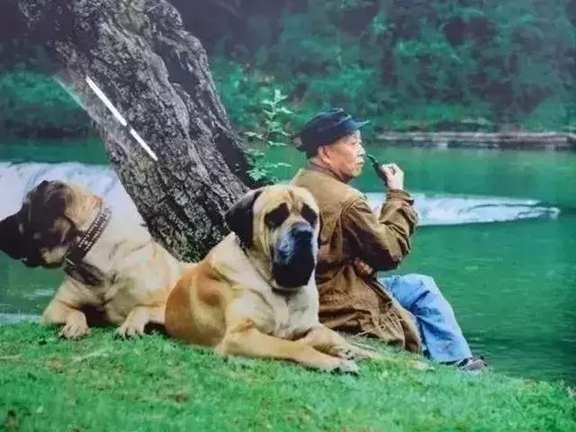 马云人生最大的梦想就是提前退休,马云55岁退休后的感悟