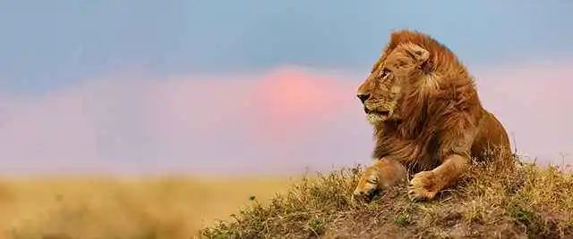 天天看电脑眼睛越来越小怎么办,整天看电脑眼睛很模糊怎么办