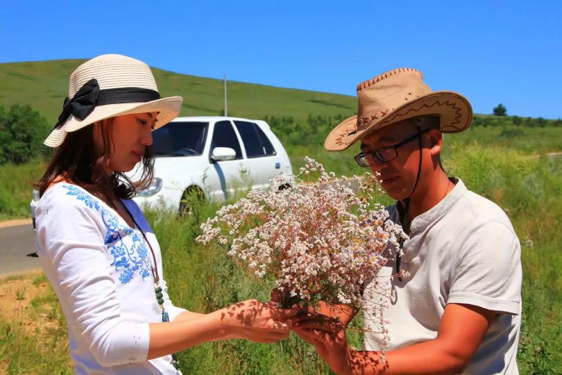 旅行去看草原美景,去草原撒欢视频