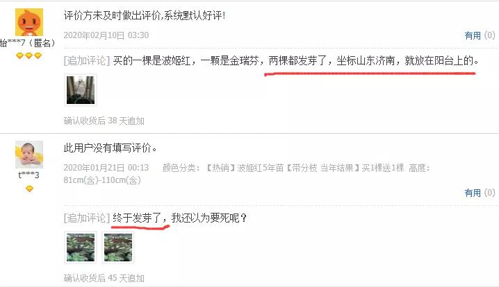 宿迁神苗是真的吗,宿迁的苗木为什么叫神苗