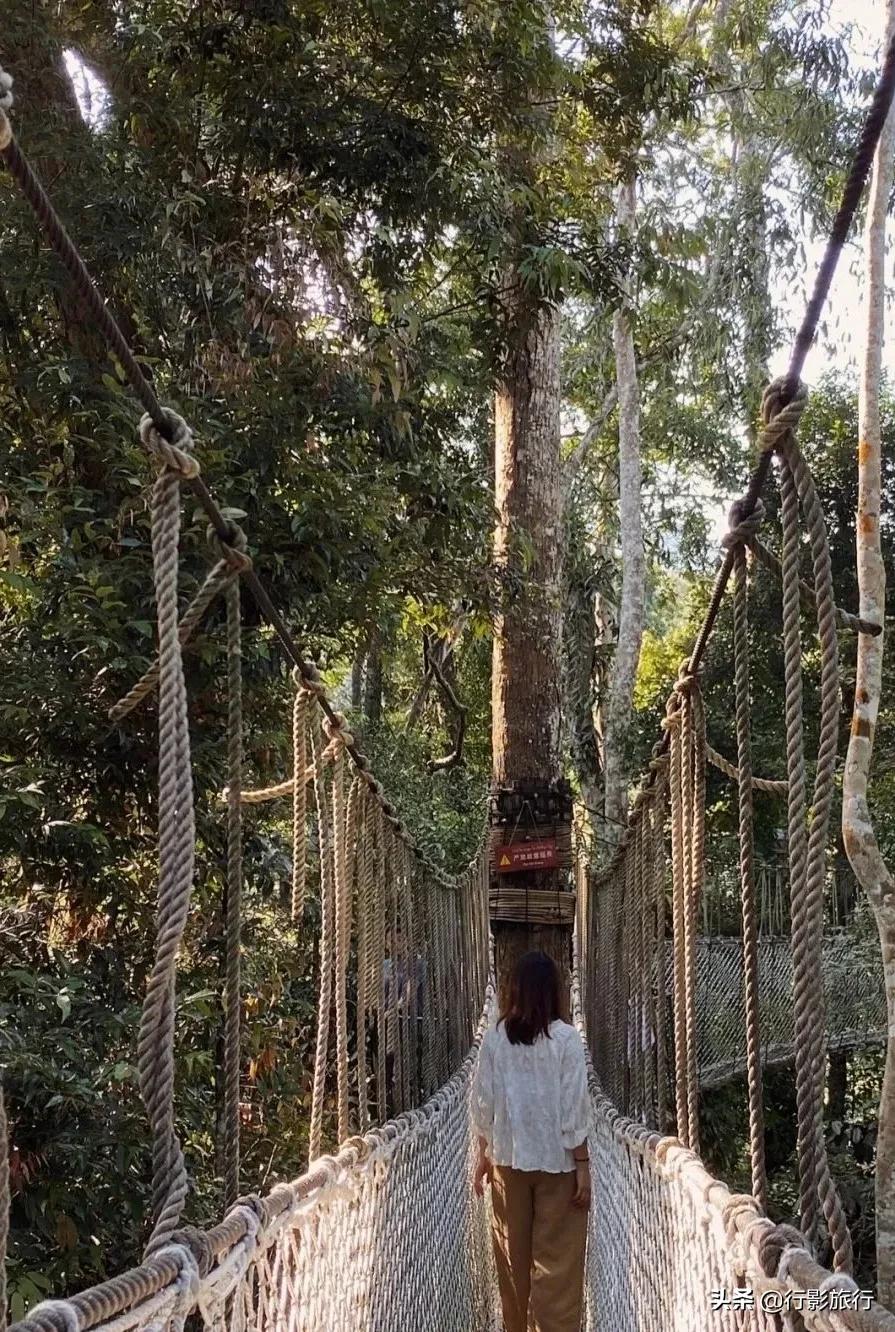 云南西双版纳地方介绍,云南西双版纳旅游简介