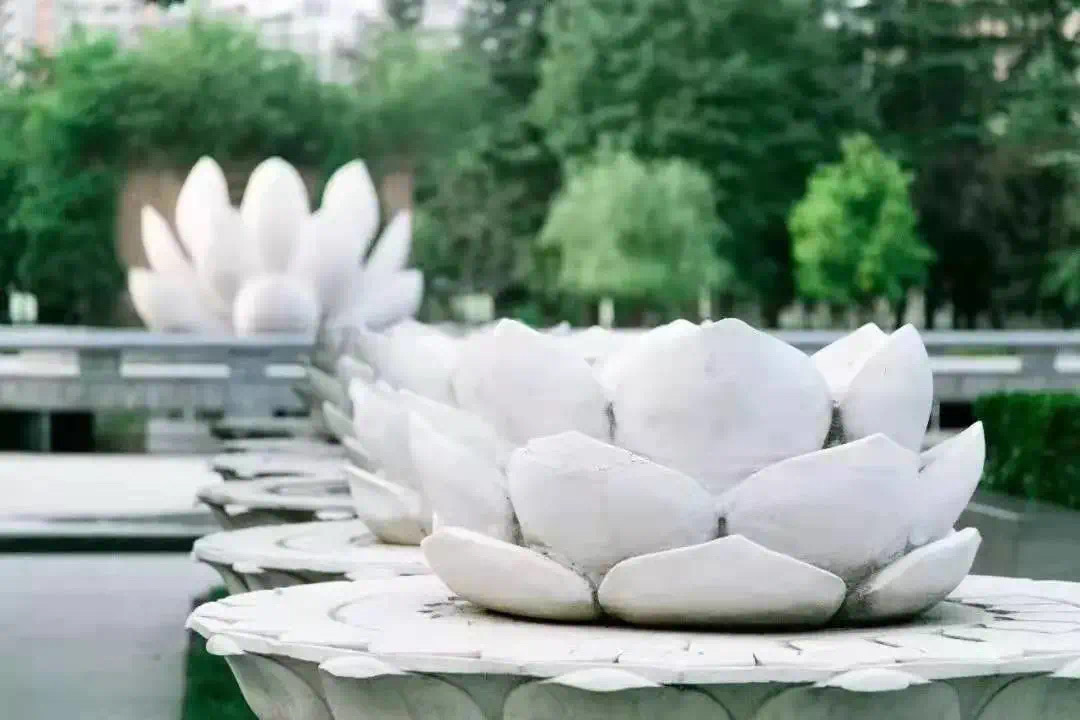 高新FUN肆嗨（九）|地铁直达！来这里开启你的“玩”美五一！